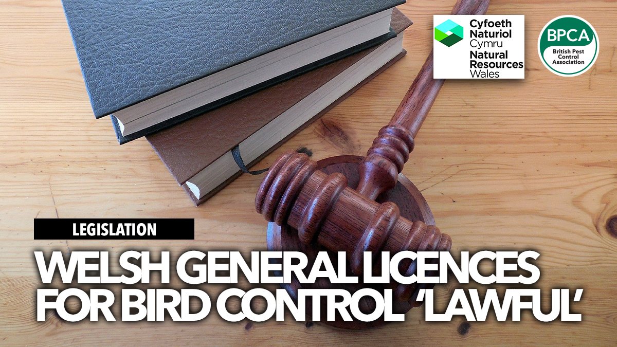 welsh-general-licences-lawful